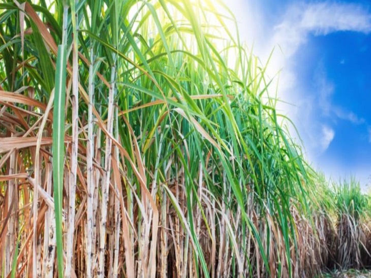 प्रदेश के किसान शीघ्र ही खेतीबाड़ी में ड्रोन का प्रयोग कर सकेंगे