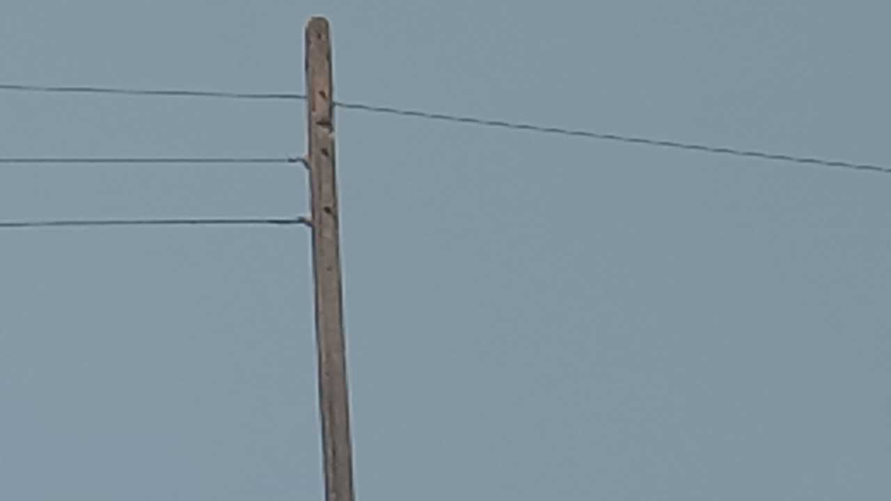 नगर अंजड़ में चोरों को हौसले बुलंद ग्रामीण क्षेत्र बोरलाय धनोरा के कृषि की लाइन में खड़े बिजली के पोल से चोरों ने काटे बिजली के तार सप्लाई हुई बंद