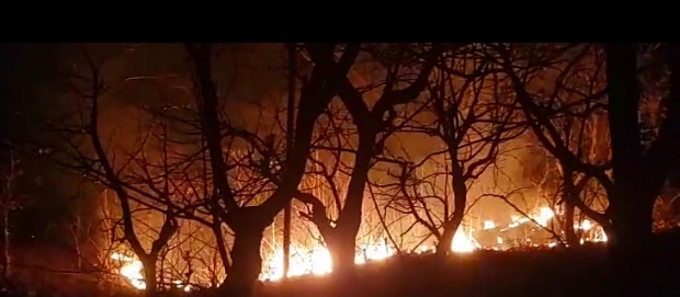 पर्यटन नगरी मांडू के गाड़ी दरवाजा एवं कमानी दरवाजे के समीप मालीपुरा की पहाड़ी पर बीती रात लगी भीषण आग  आग की घटना में वन परी क्षेत्र की बहुमूल्य संपदा के साथ कई छोटे-बड़े पेड़ पौधे झूलसे