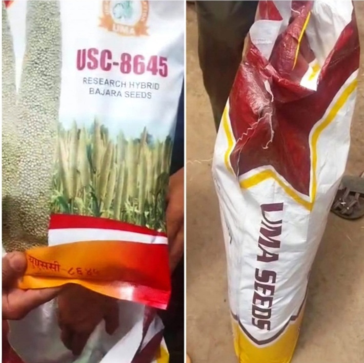 बड़वानी अवैध बीज भंडारण पर दो व्याक्तियों के विरूद्ध हुई एफ.आई.आर.दर्ज  420 पैकेट  बाजरा बीज जप्त