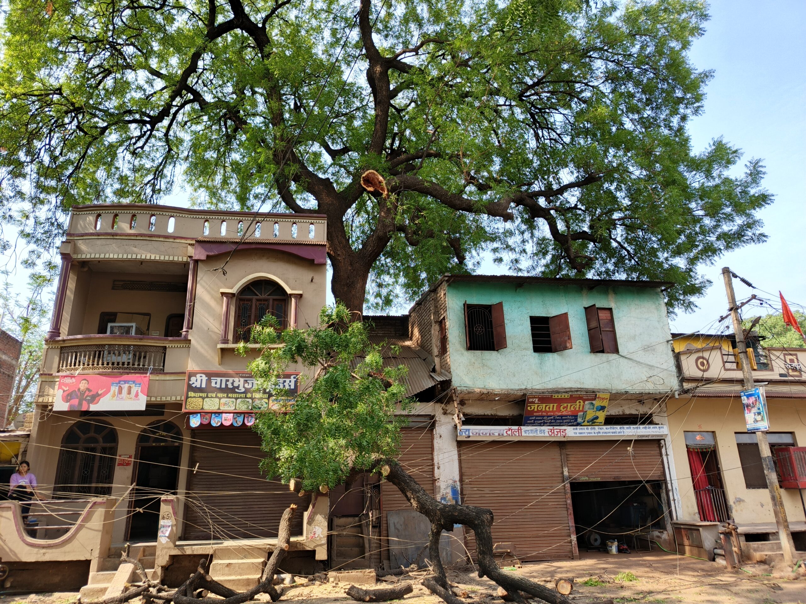 अंजड बीती रात पेड़ गिरने से बिजली सप्लाई हुई बंदआज दोपहर 2:00 बजे तक नहीं हो पाएगी बिजली चालू आम नागरिक परेशान