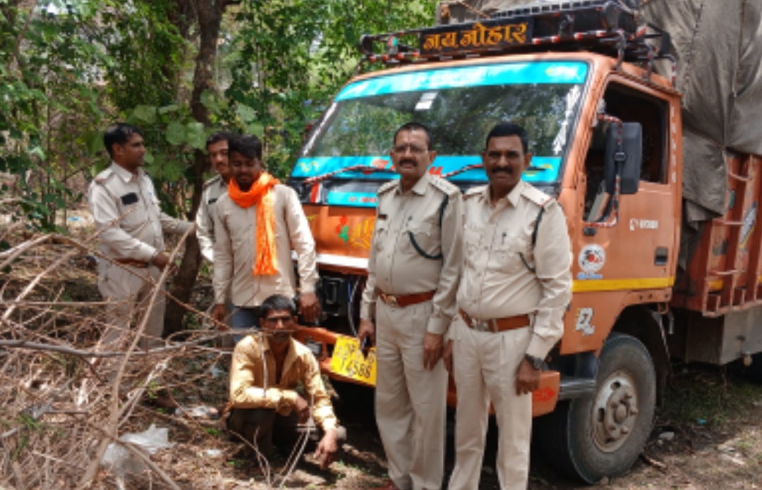 बगड़ी वन मंडल पीथमपुर के समीप बेटमा सागोर कुटी मार्ग पर वन विभाग के अमले द्वारा अवैध रूप से परिवहन करते लकड़ी व वाहन को जप्त किया 8 टन आम लकड़ी जप्त
