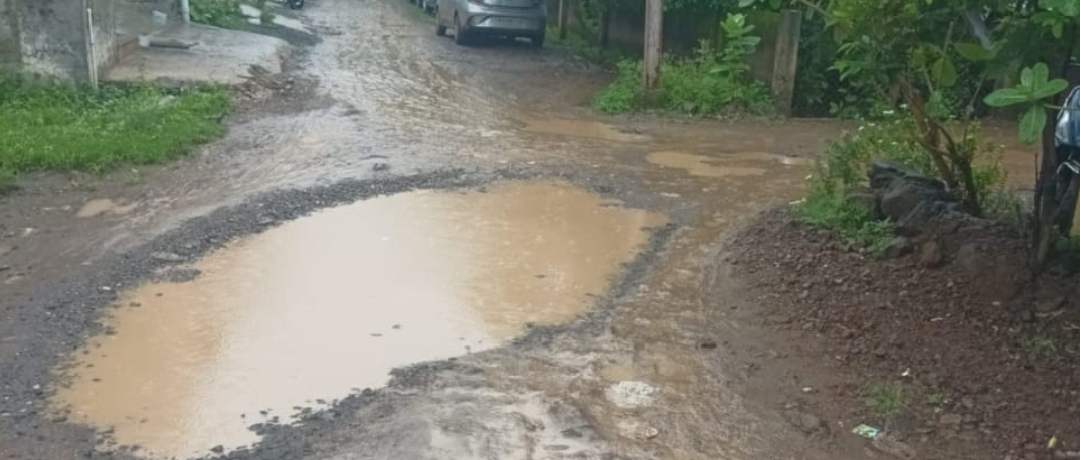 धार 25 साल पुरानी चाणक्यपुरी कॉलोनी में सड़क तक नहीं बनी, कीचड़ से फिसल रहे हैं स्कूली बच्चे व वाहन आश्वासन के अलवा कुछ नहीं मिला रहवासियों को